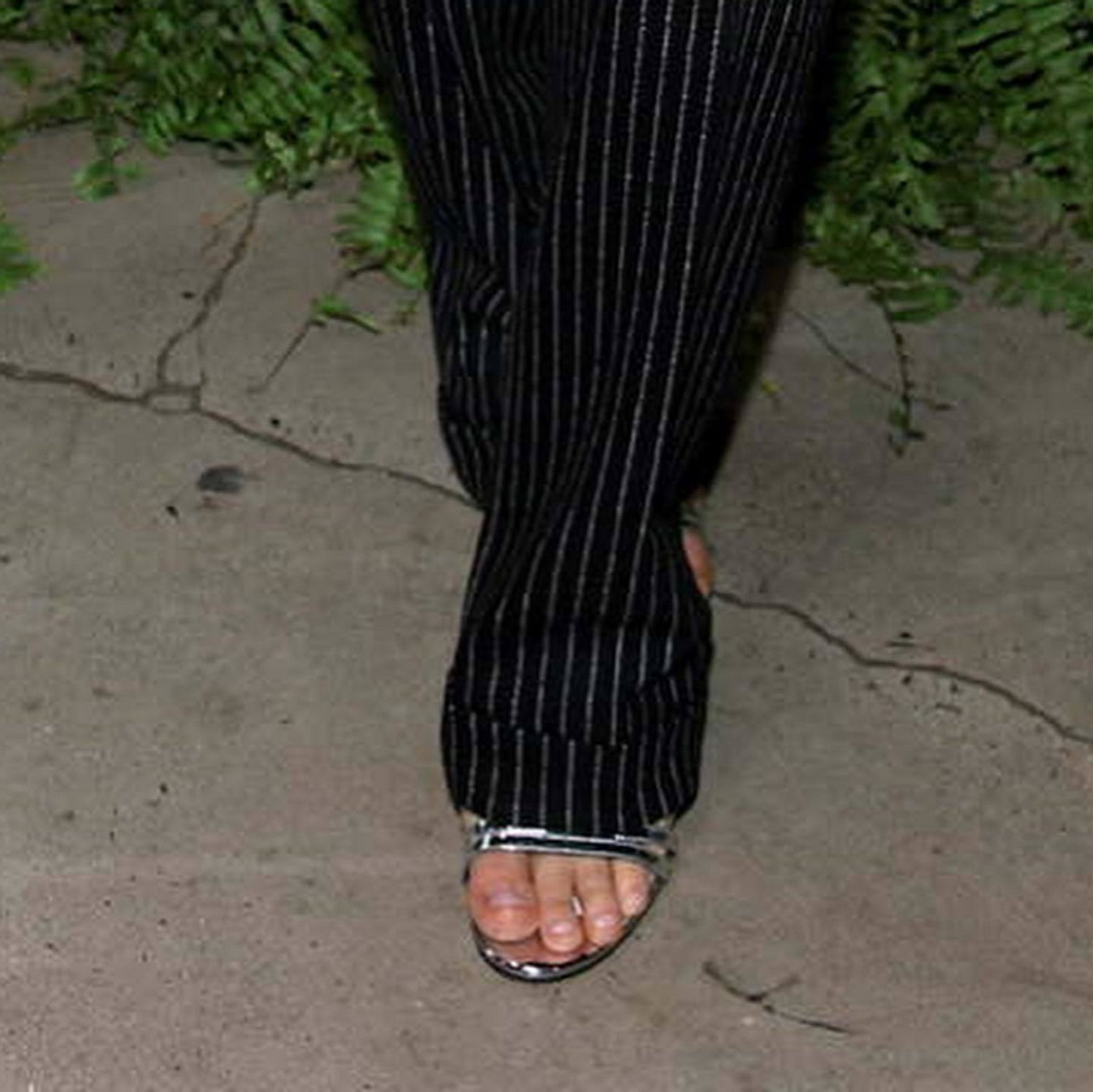 Alexandra Daddario Feet